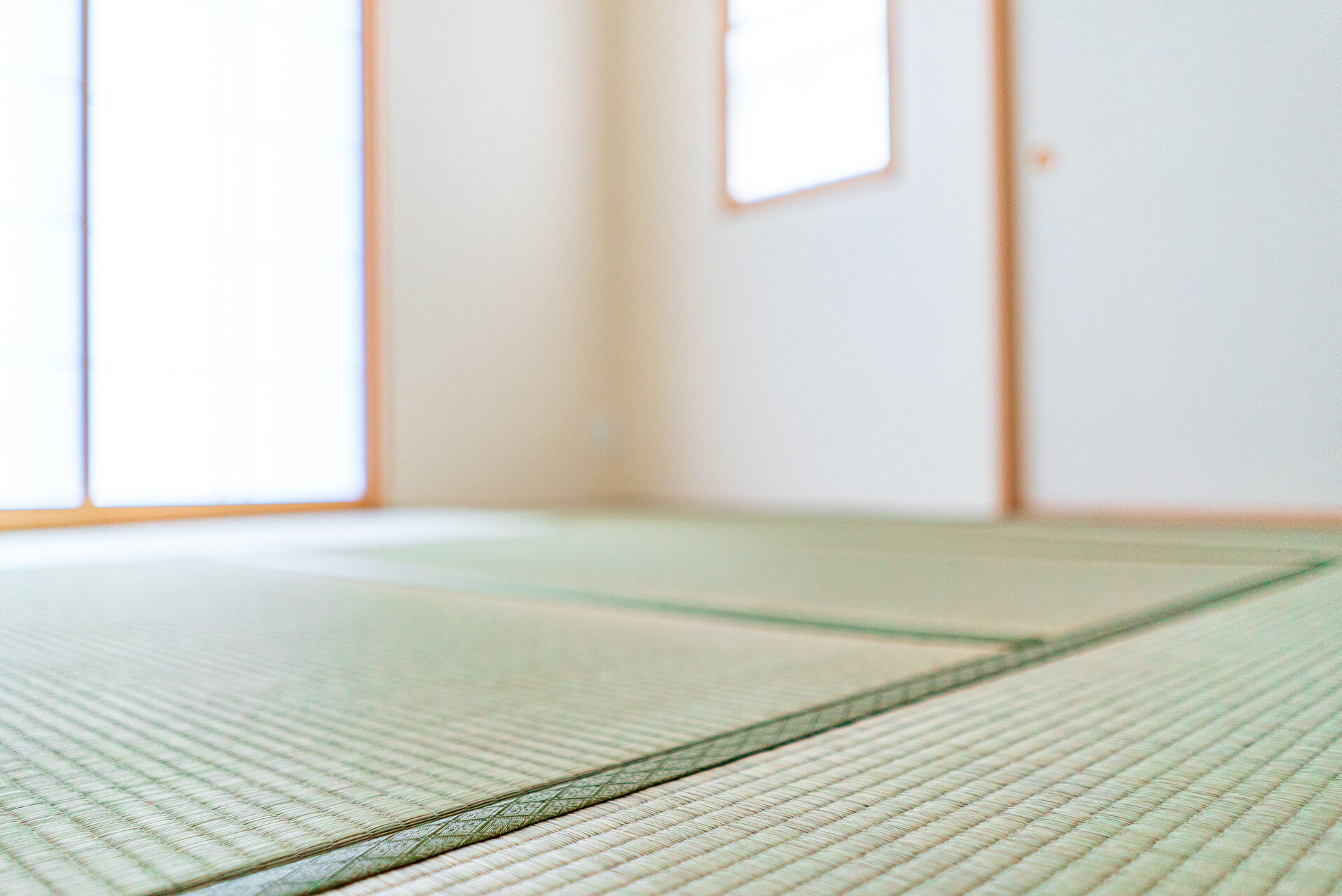 AdobeStock_321989655